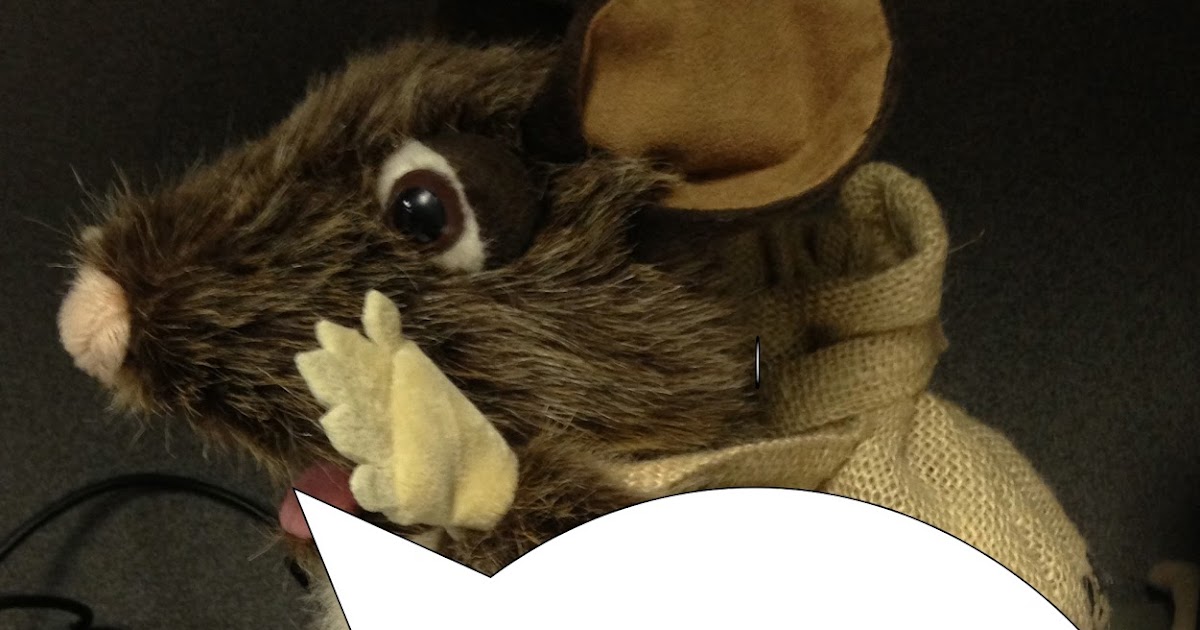 packrat photos packrat photos