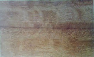 MUEBLES DOMOTICOS: EL EUCALIPTO (USOS,CARACTERÍSTICAS Y PROPIEDADES)