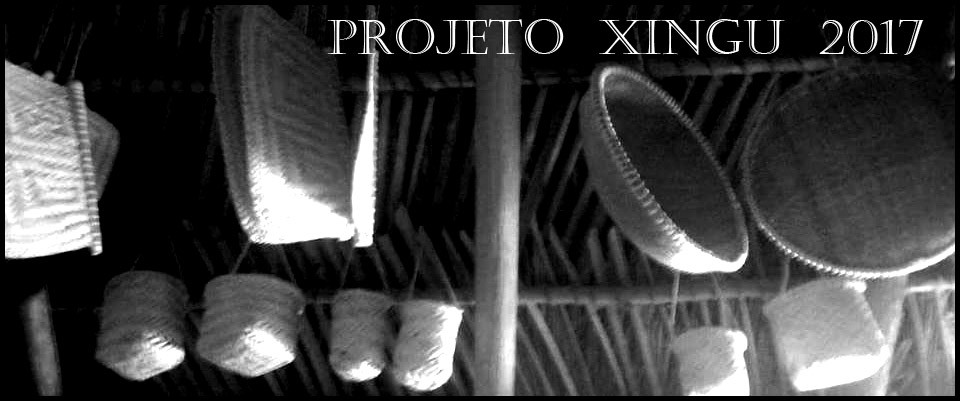 PROJETO XINGU