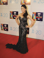 Sophie Chaudhary,Huma Qureshi,Yami Gautam, Zee, Cine, Awards, 2013, backless dress, cleavage show, wardrobe malfunction