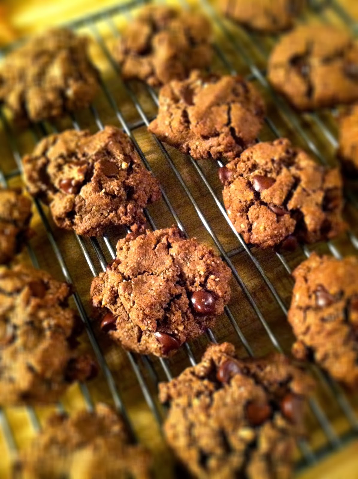 The Falling Acorn : Cocoa Almond Cookies