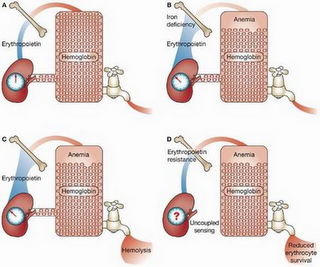 ebook Immobilisation of DNA on Chips