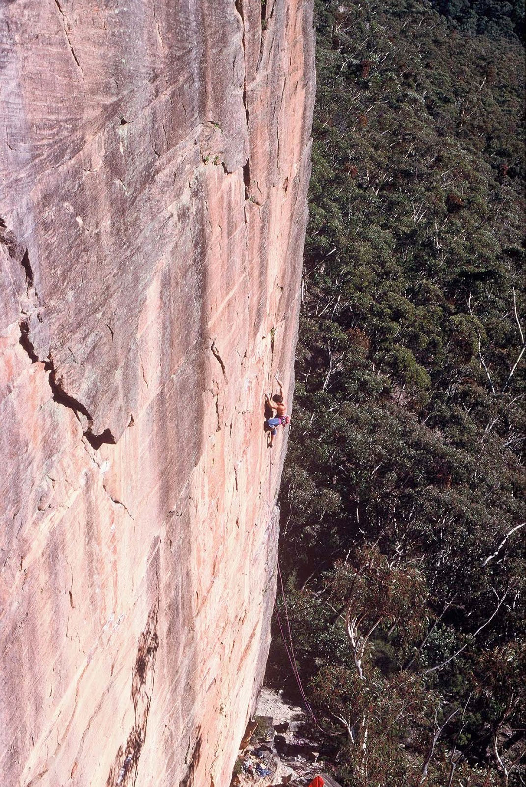 Footless Crow Climbing with Vultures