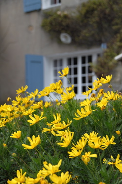 南仏プロヴァンスの個人旅行ア・ラ・カルト ラ・シプリアド(ラ・カディエール)