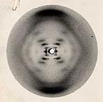 Watson and Crick used as