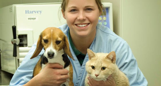 veterinarian technician salary