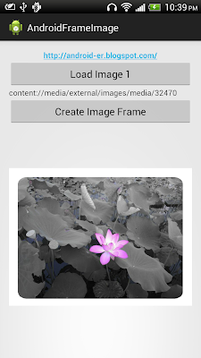 Bitmap image with frame