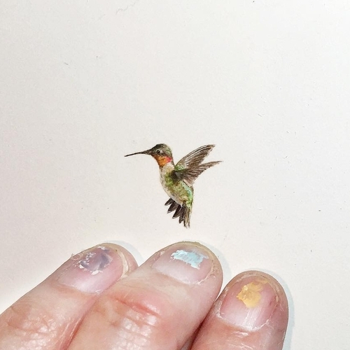 10-Hummingbird-Karen-Libecap-Star-Wars-&-other-Miniature-Paintings-and-drawings-www-designstack-co