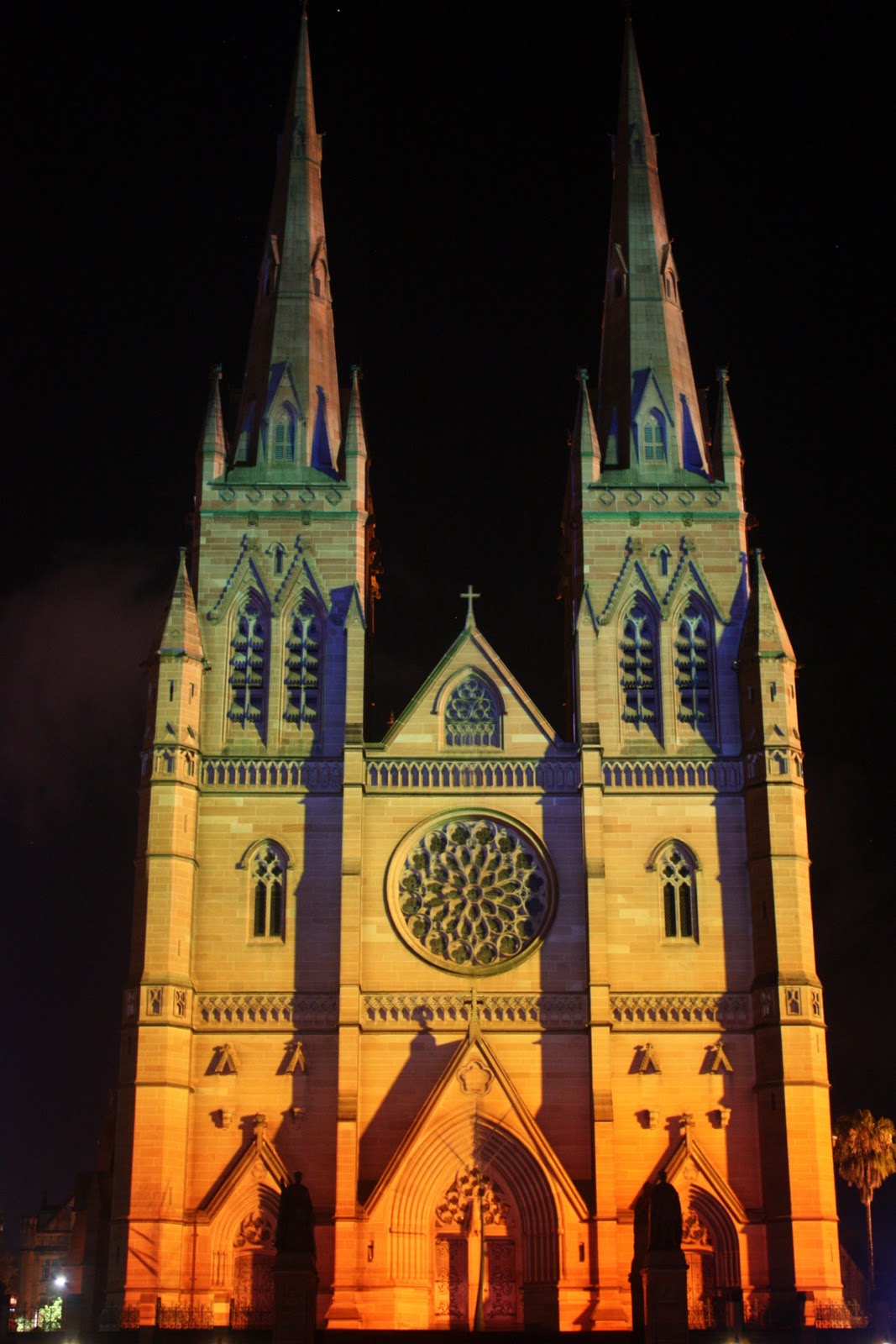Sydney City and Suburbs St Mary's Cathedral, Lights of Christmas