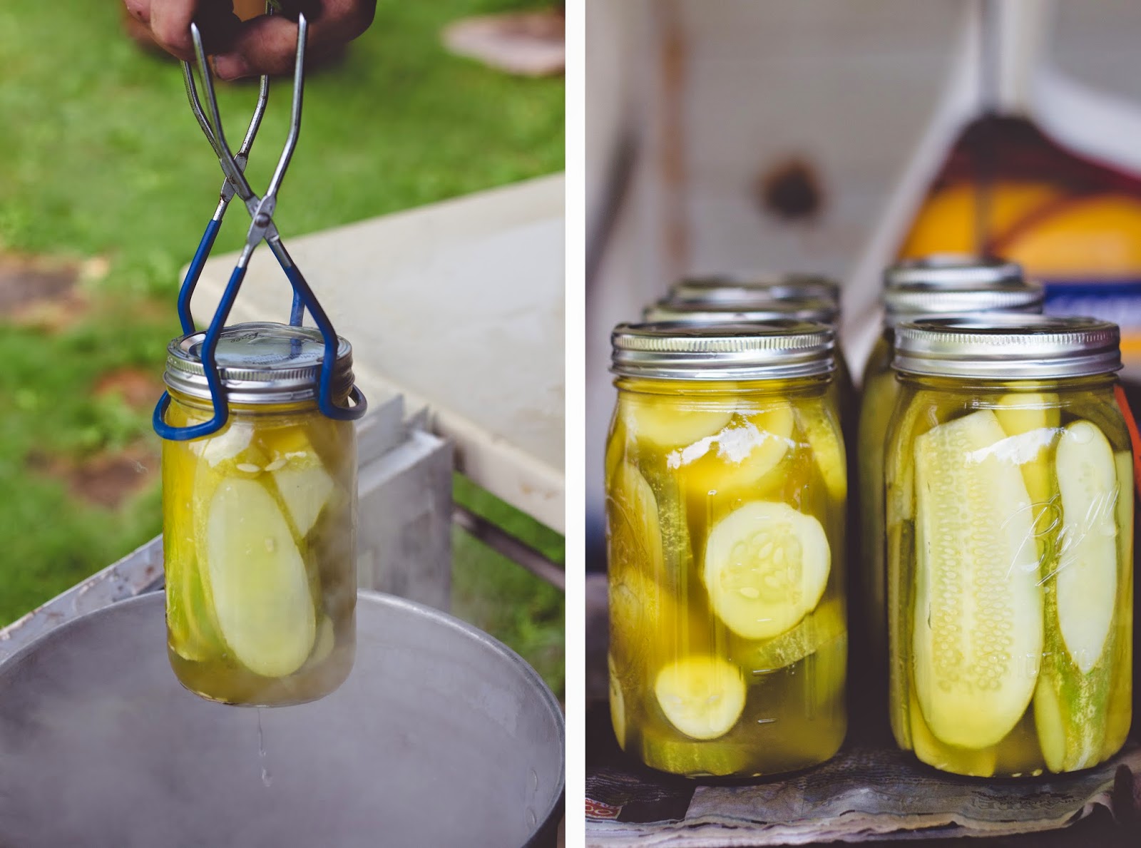 How to Make Homemade Dill Pickles My Perfect Storm