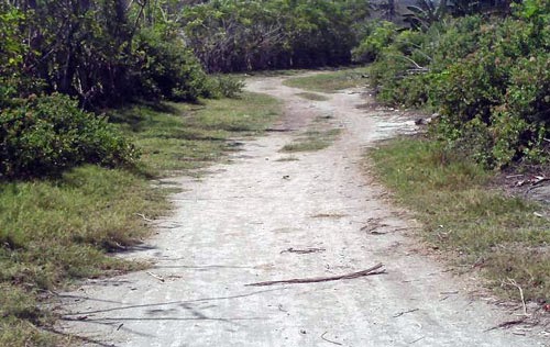 jalan ke pantai surga pantai surga lombok, wisata pantai lombok, tempat wisata lombok, wisata lombok, pantai indah