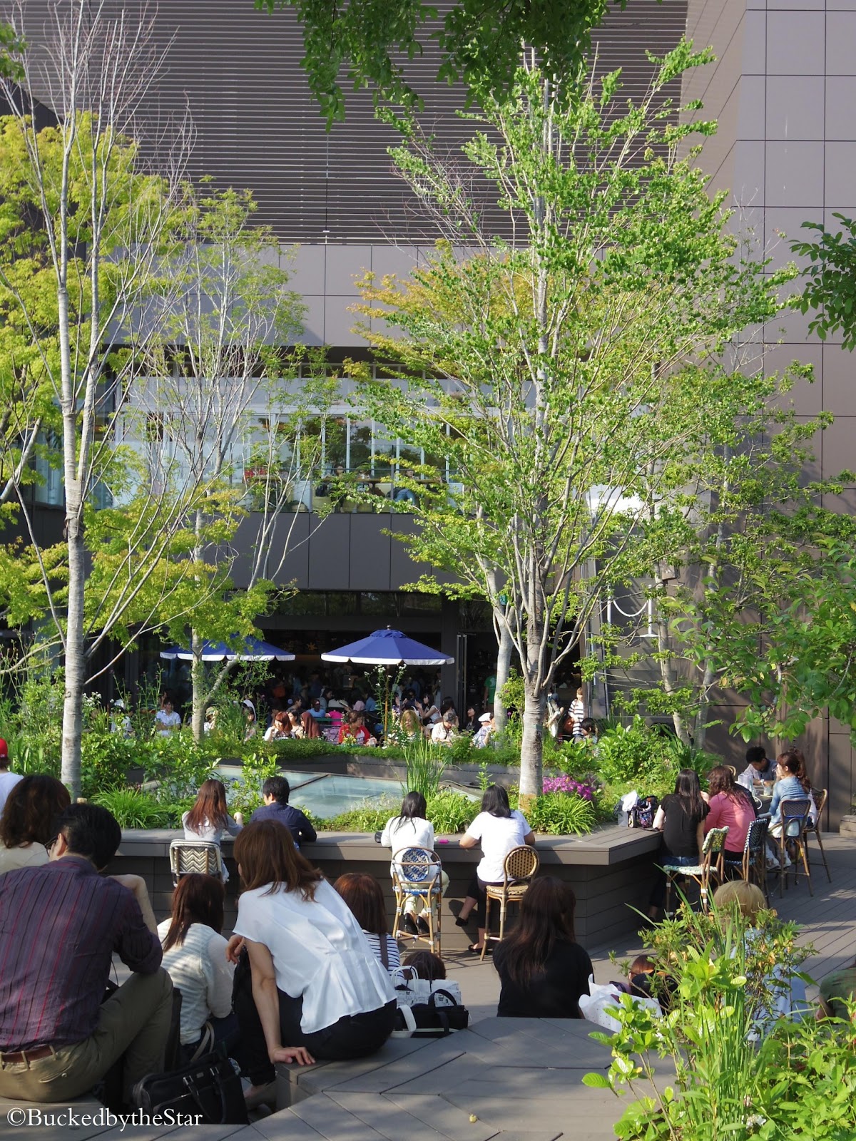 Bucked By The Star Tokyu Plaza Omotesando Harajuku 東急プラザ表参道原宿店