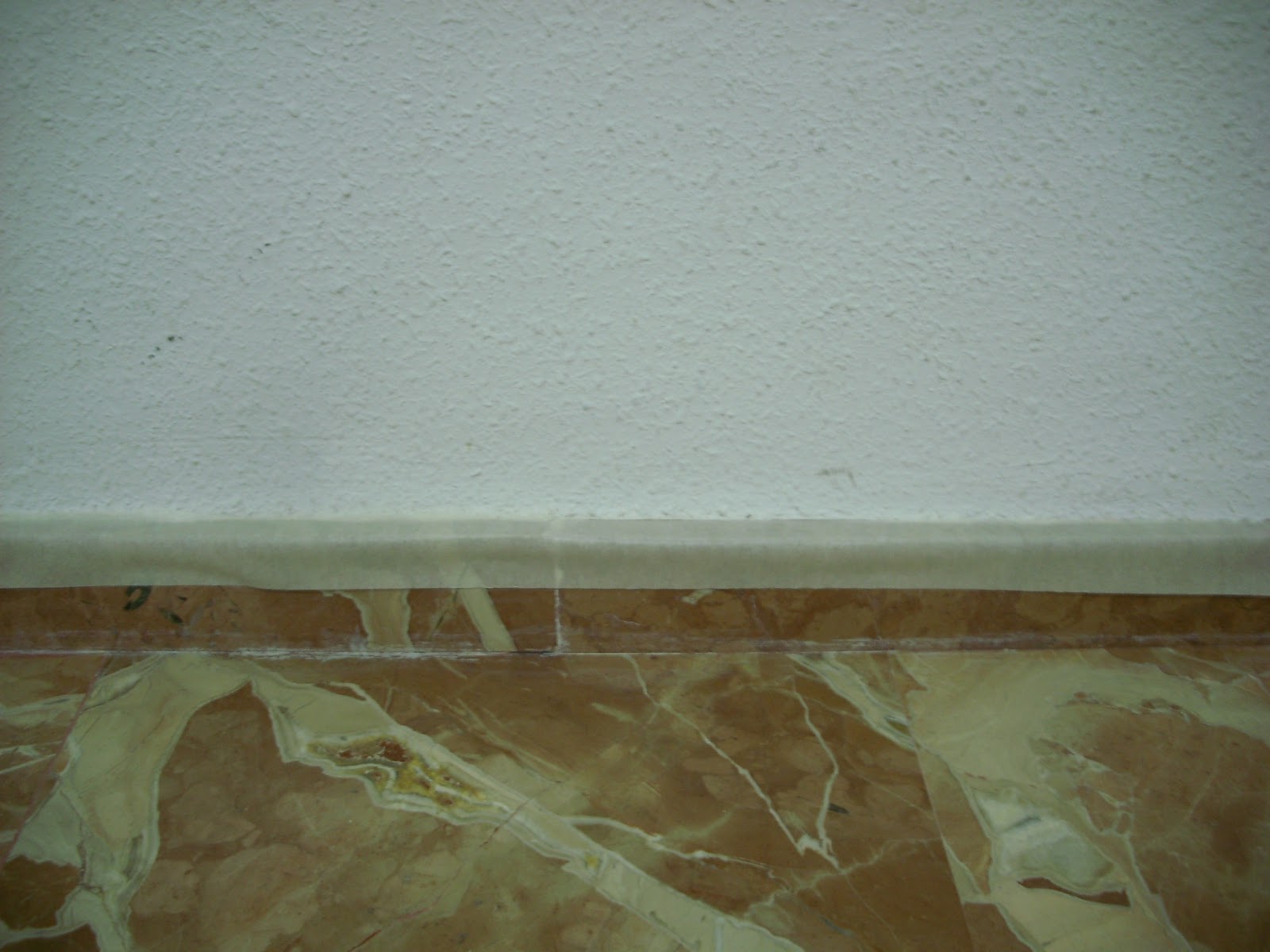 La madre que no te parió: PINTEMOS LA CASA