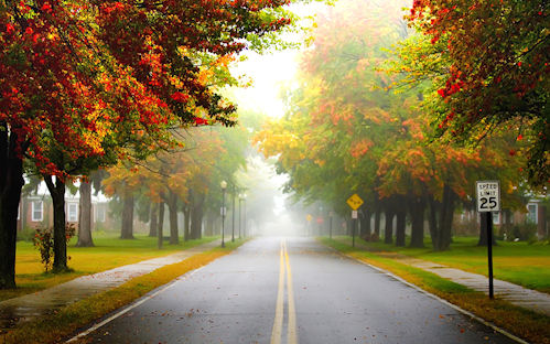 Otoño - Autumn - Fog Season by Katya Horner