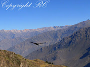 Cruz del Condor, Peru, 2011. Photo by my colleague R.C. (cruz del condor)