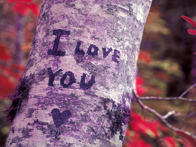 i love you nice written on tree image