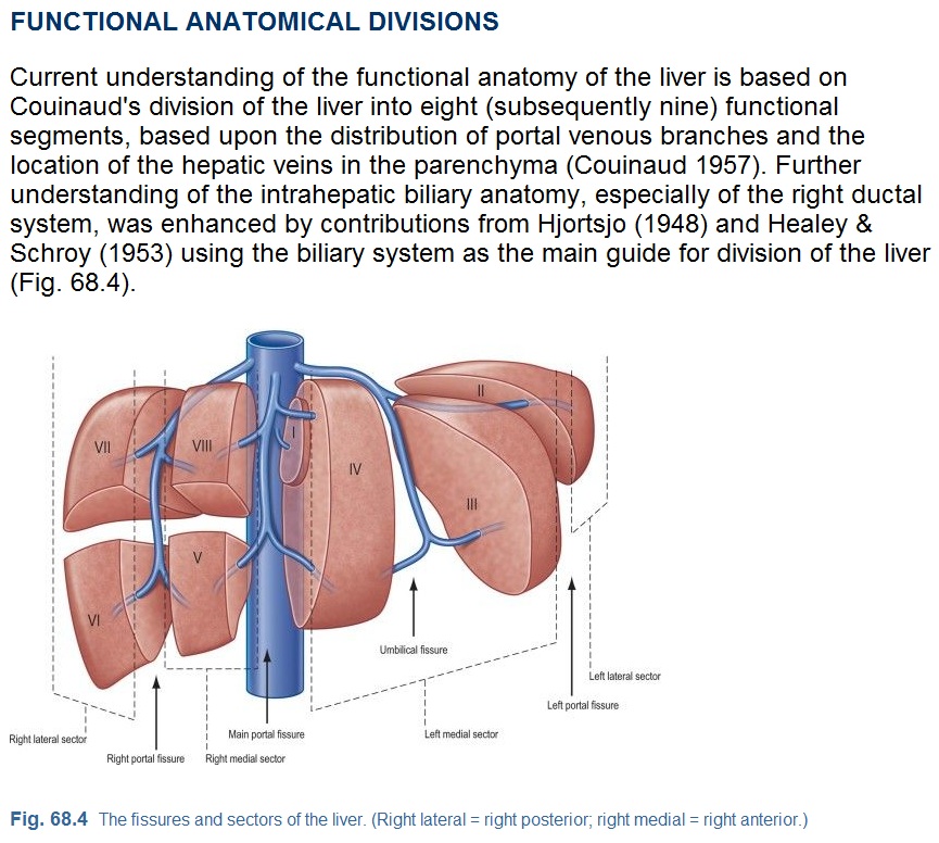 All about Medicine: Gray's Anatomy - 40th Edition CHM