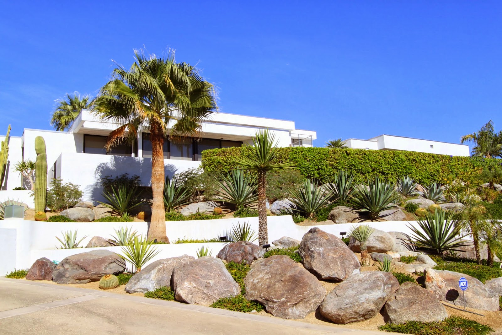 psmw mod goes modern celebrity homes in vista las palmas historical