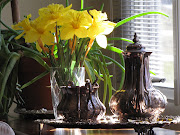 daffodils