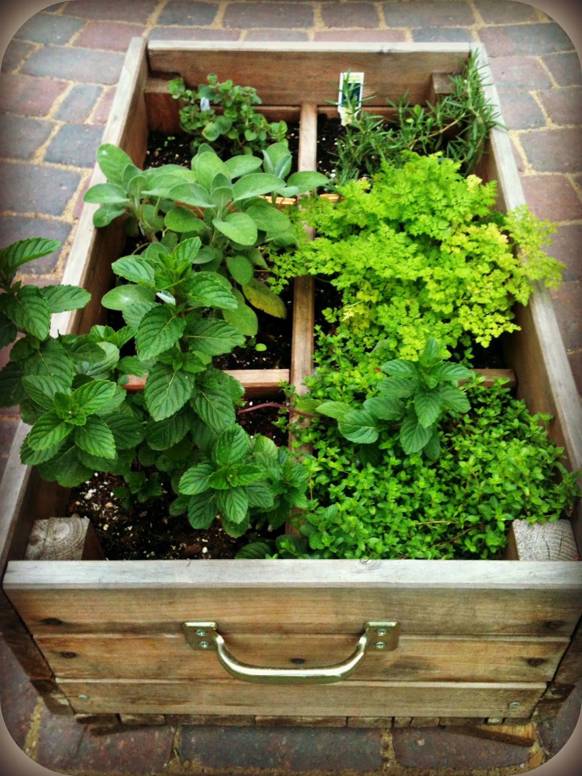Two Loonies and a Penny The Herb Box