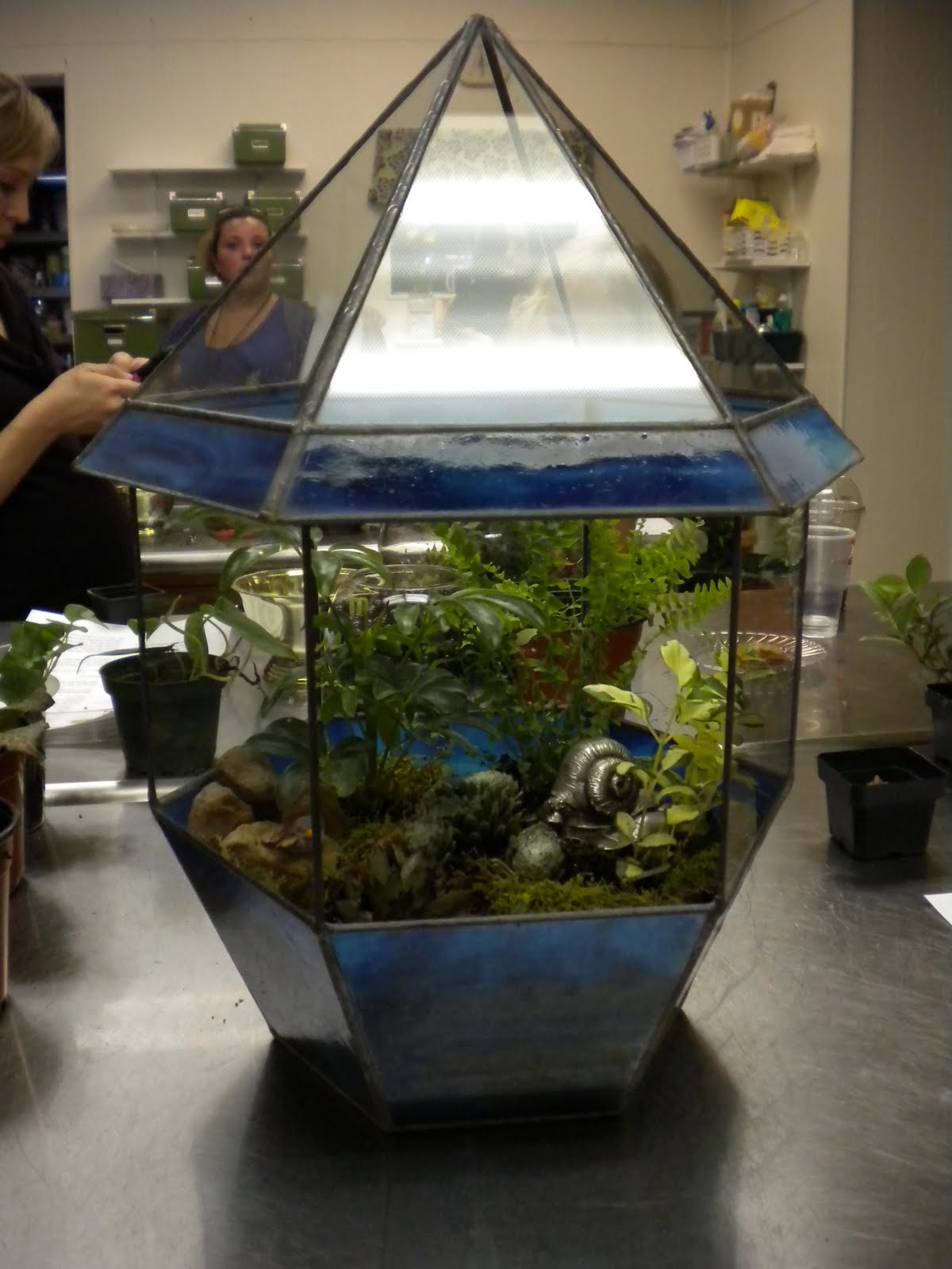 Main Street Florist Terrarium Class 6/23/11