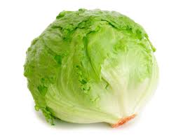 Jual lettuce dengan harga murah