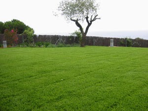 empezar con un jardin y instalar tu grama blogger