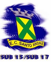 Grande partida entre Santos F.C. e Catanduvense E.C. - Blog