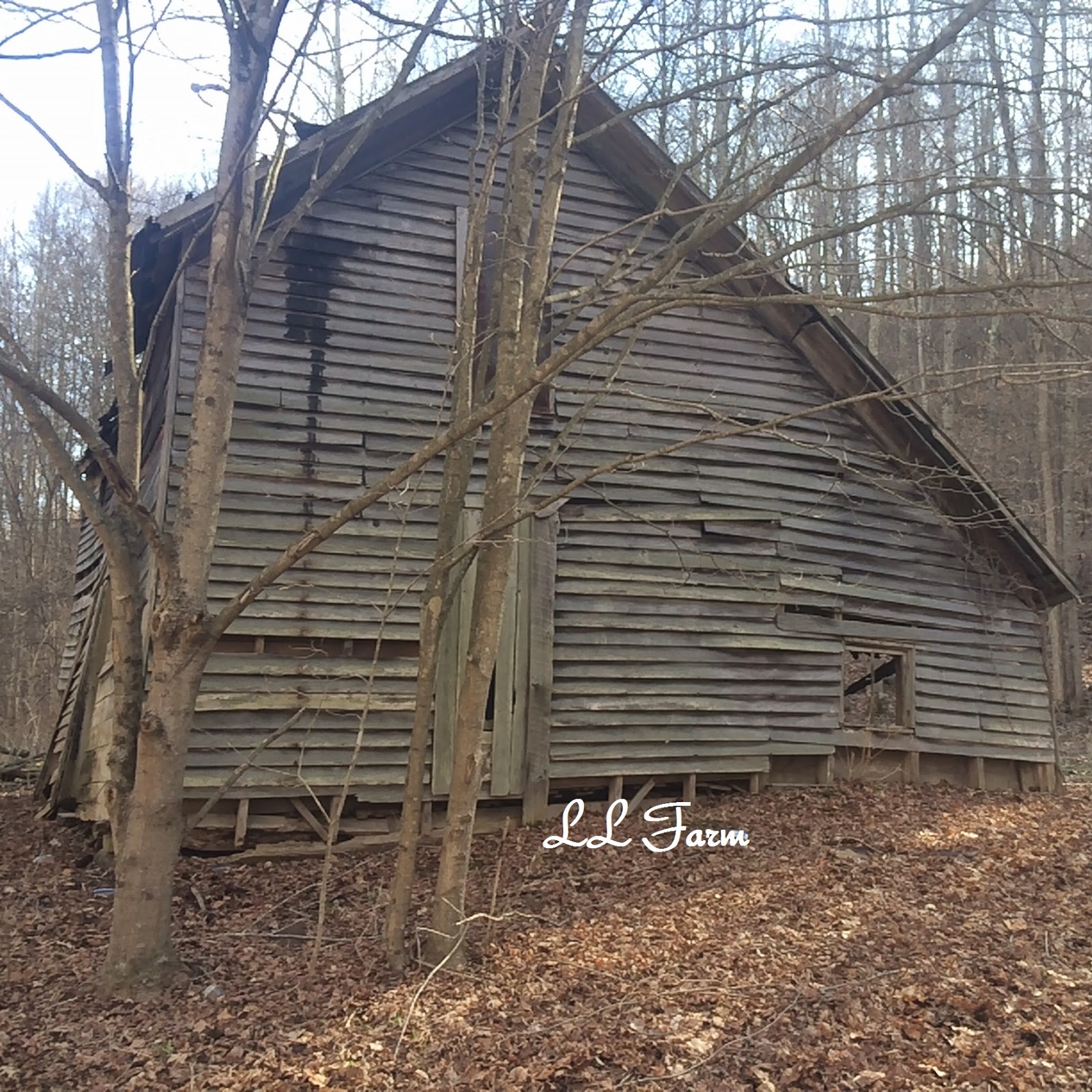 LL Farm: A piece of my Great Grandparent's house