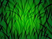 Description: Grass Field Wallpapers .amp; Widescreen Grass Wallpapers from the . grass field wallpapers 