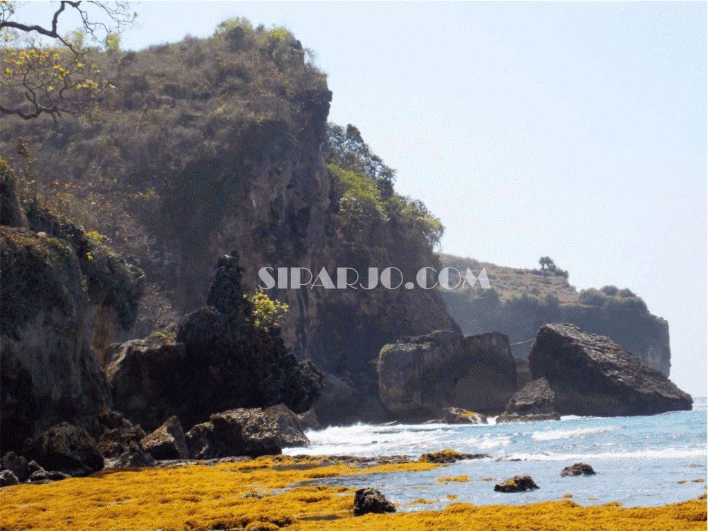 Batu karang di pantai, berfungsi sebagai pemecah gelombang Batu karang di pantai, berfungsi sebagai pemecah gelombang