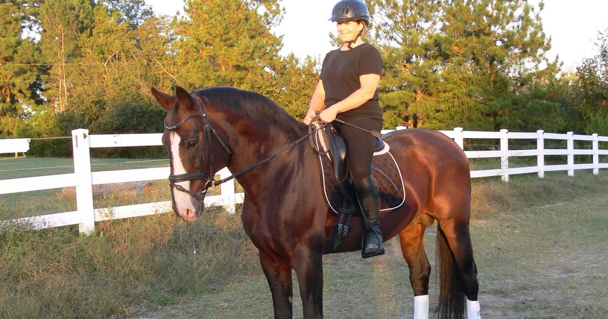 Iron Horse Farm, Zebulon/Bunn, NC