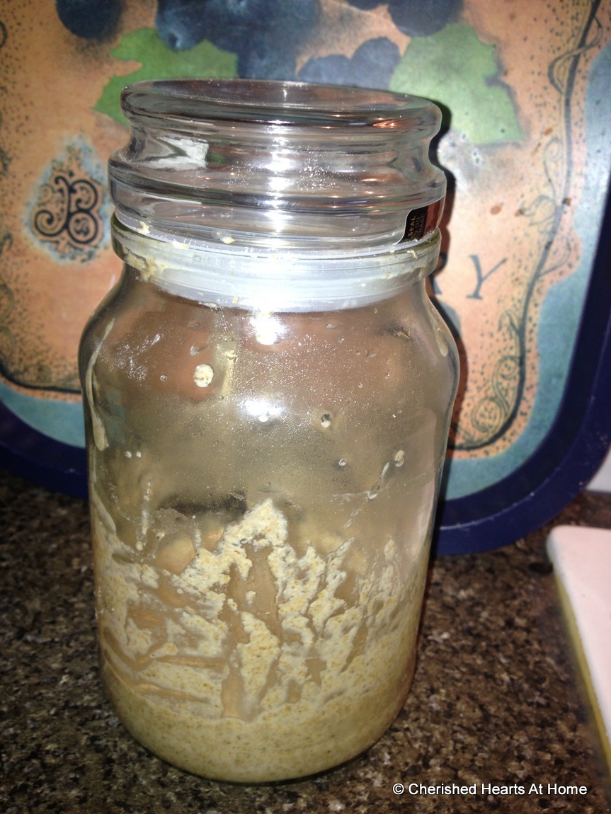 Cherished Hearts At Home Making a Sourdough Starter best recipe