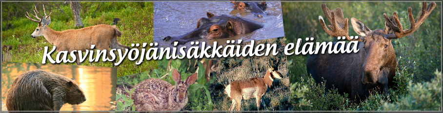 Kasvinsyöjänisäkkäiden elämää 