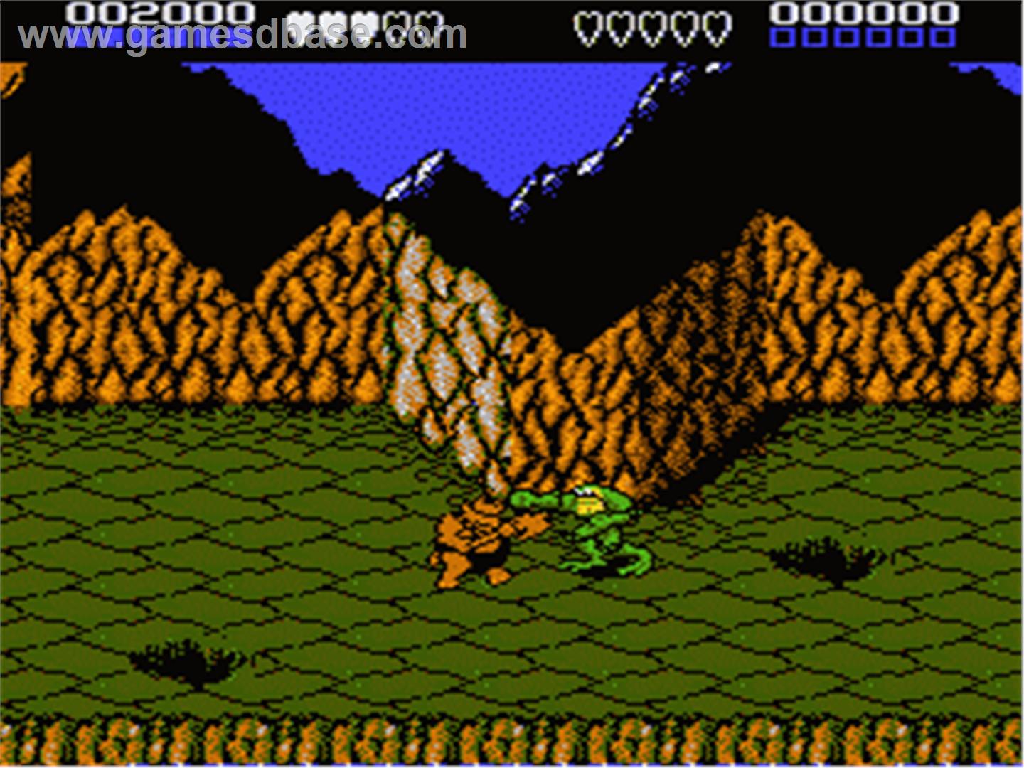 Reto en los videojuegos de hoy Battle_Toads_-_1991_-_Tradewest,_Inc.