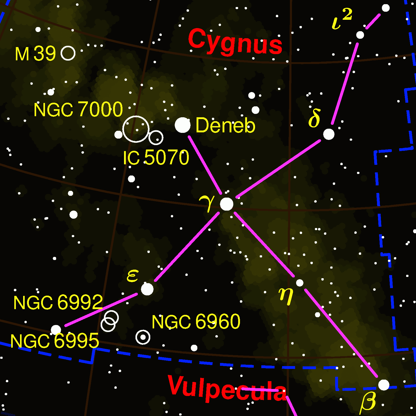 Celestial Surfing: Cygnus Celestial Surfing: Cygnus