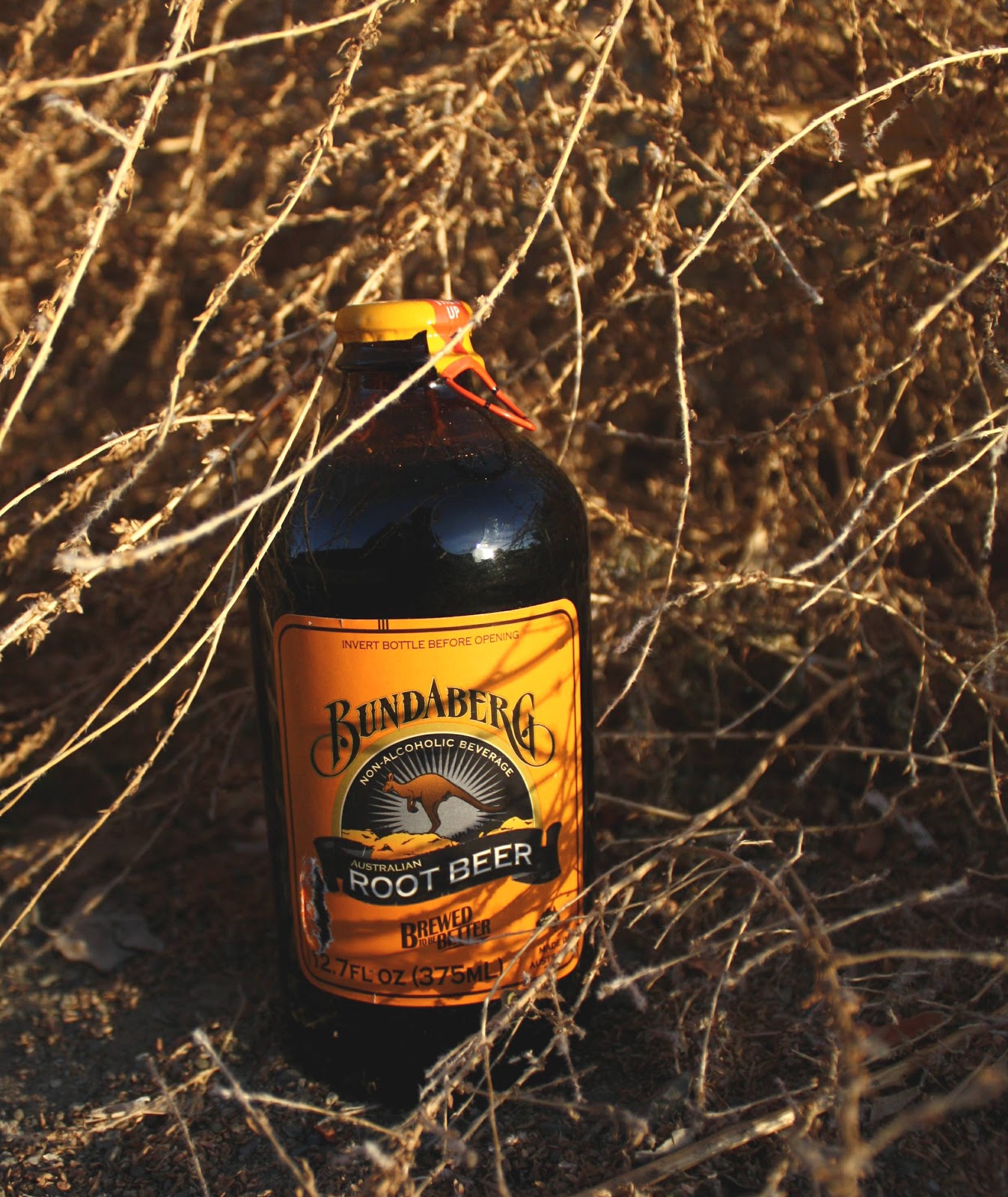 The Rootbeer Brothers Root Beer Reviews & Commentary Australian Root Beer Bundaberg