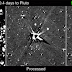 New Horizons fotografa la famiglia di Plutone al completo