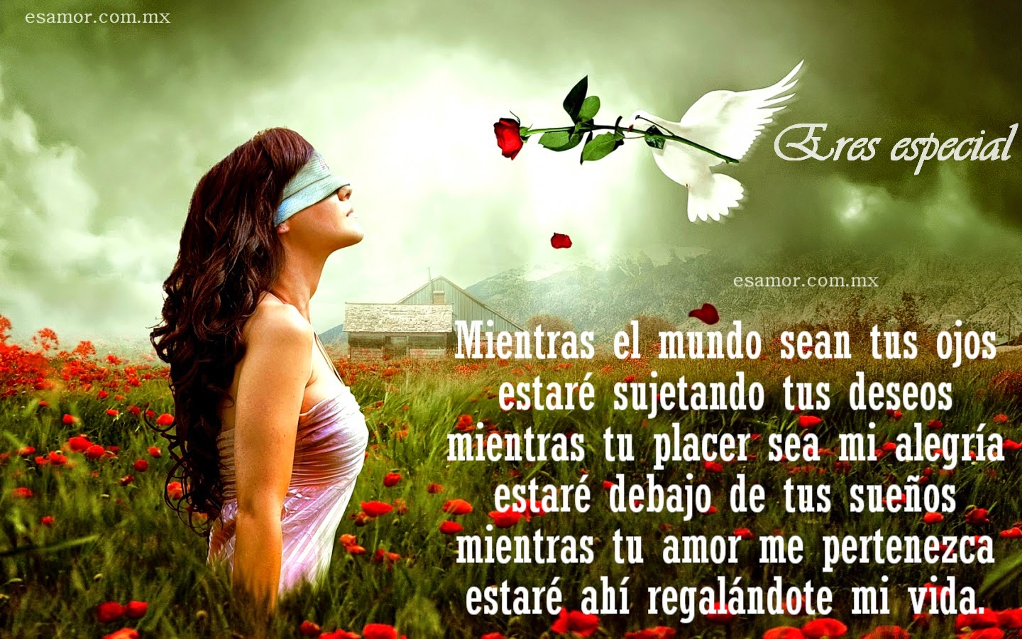 Resultado de imagen de poemas de amor para enamorar