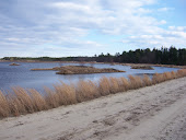 Whitesbog in Winter