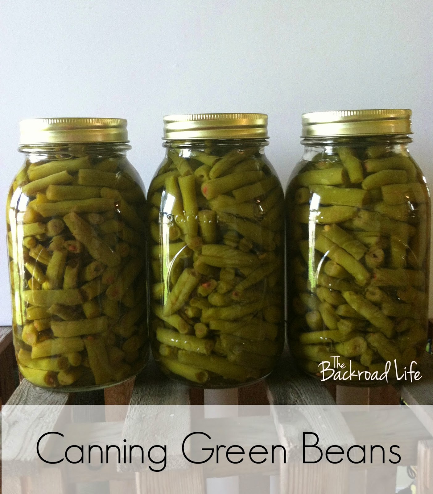 The Backroad Life Canning Green Beans