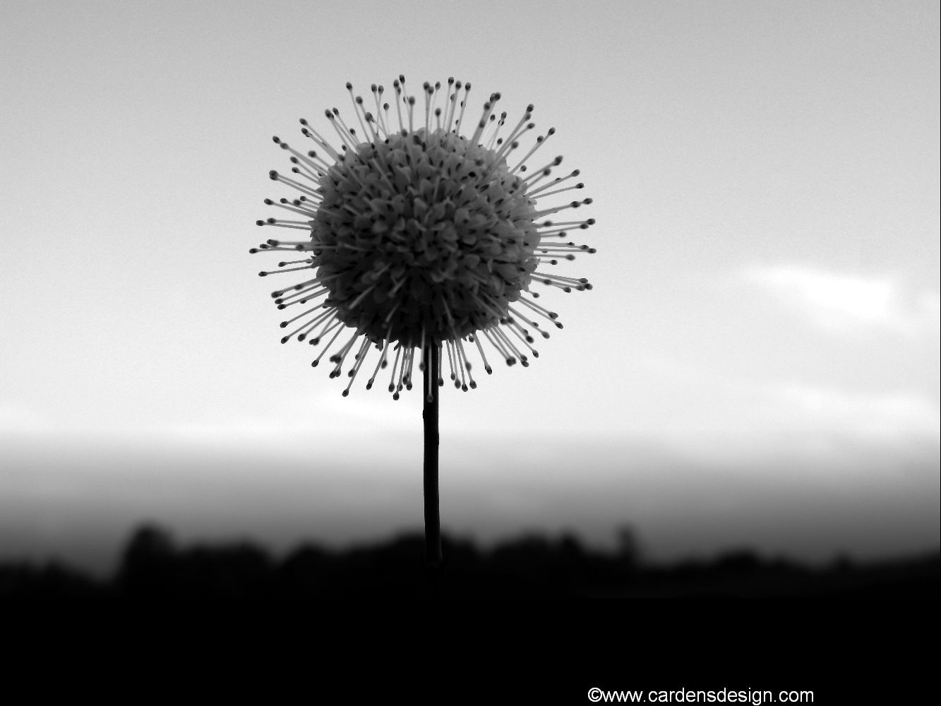 Abstract Images Photography