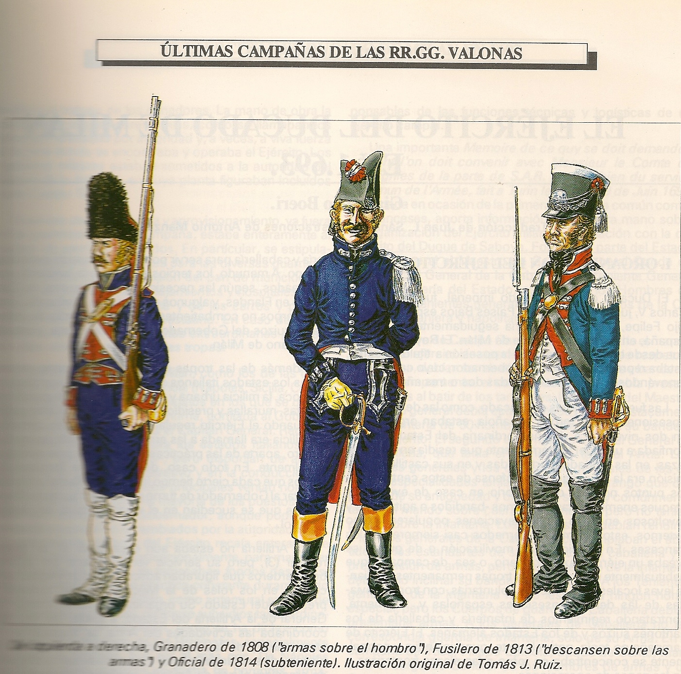 Opiniones de guardia valona