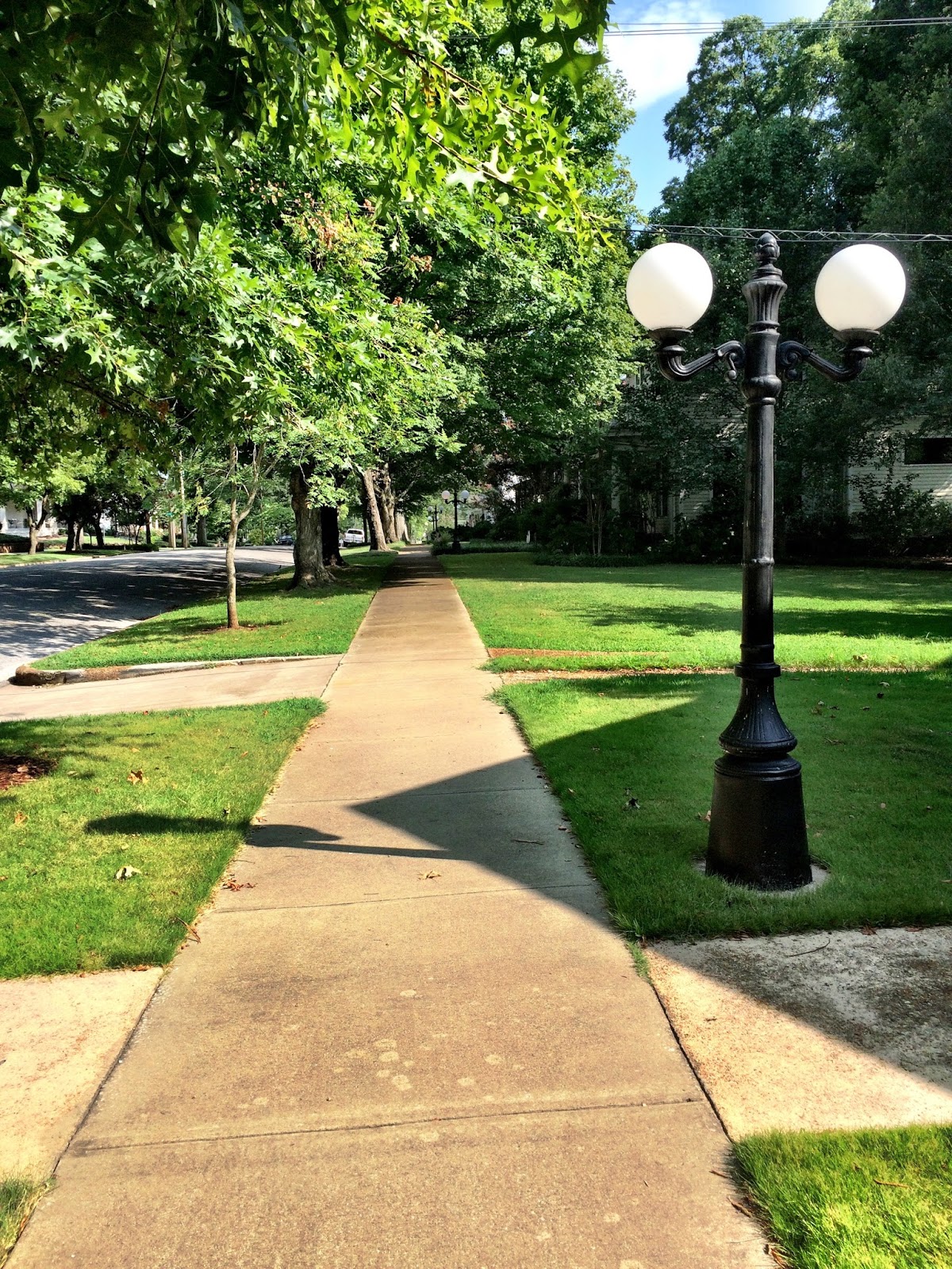 Judy Sells The Shoals Florence, Alabama Downtown Historic District