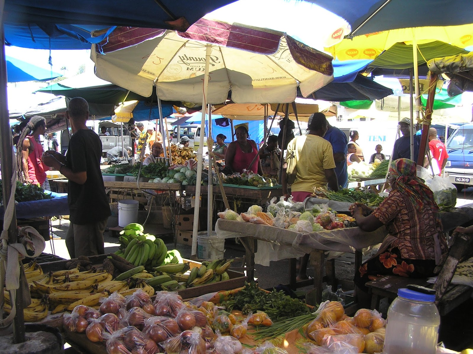 Splendid Little Stars Castries Market St Lucia
