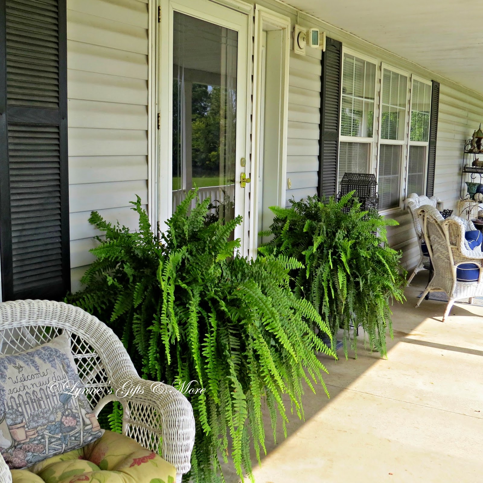 Lynne's Gifts From the Heart Late Fall Boston Ferns on the Front Porch