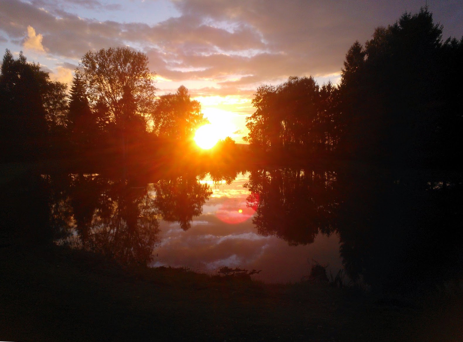 Do Mi S Garten Der Mini Teich Ist Fertig Cuphea Ramosissima