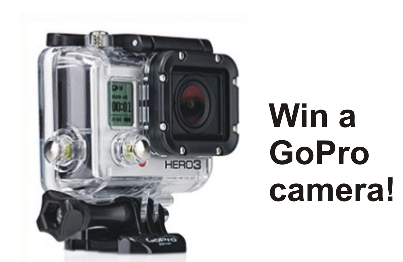 Flies in your Teeth Video Competition Win A GoPro Camera!