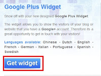 Google plus widget for blog