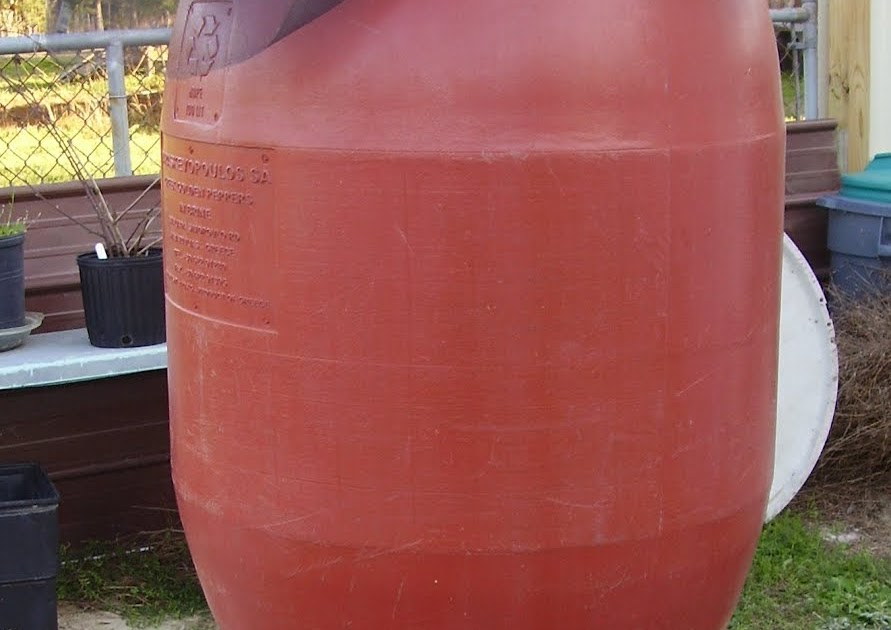 Low Rent Renaissance Drip Irrigation Experiment 2